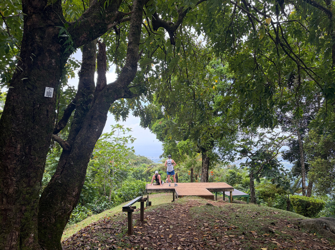 Robert Louis Stevenson Museum-阿皮亚必去景点