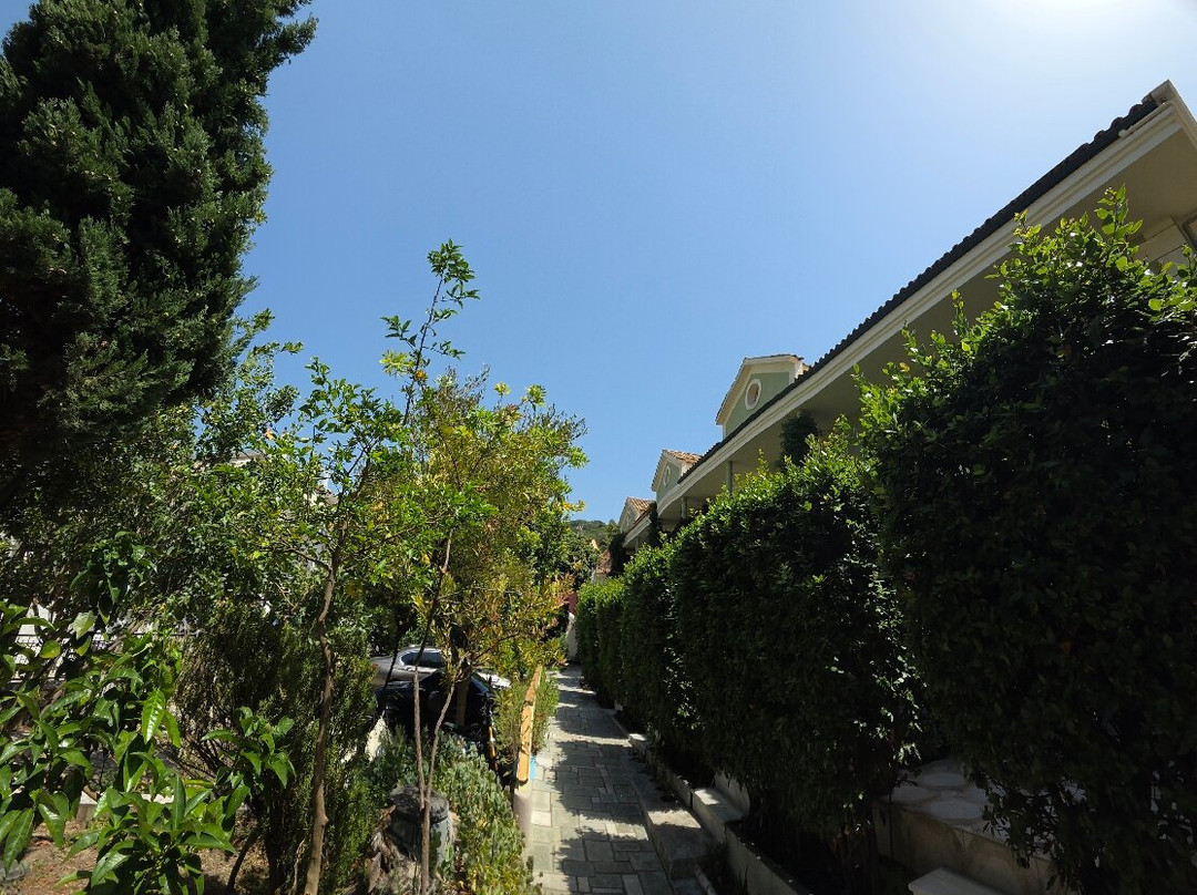 Villa Rossa主图
