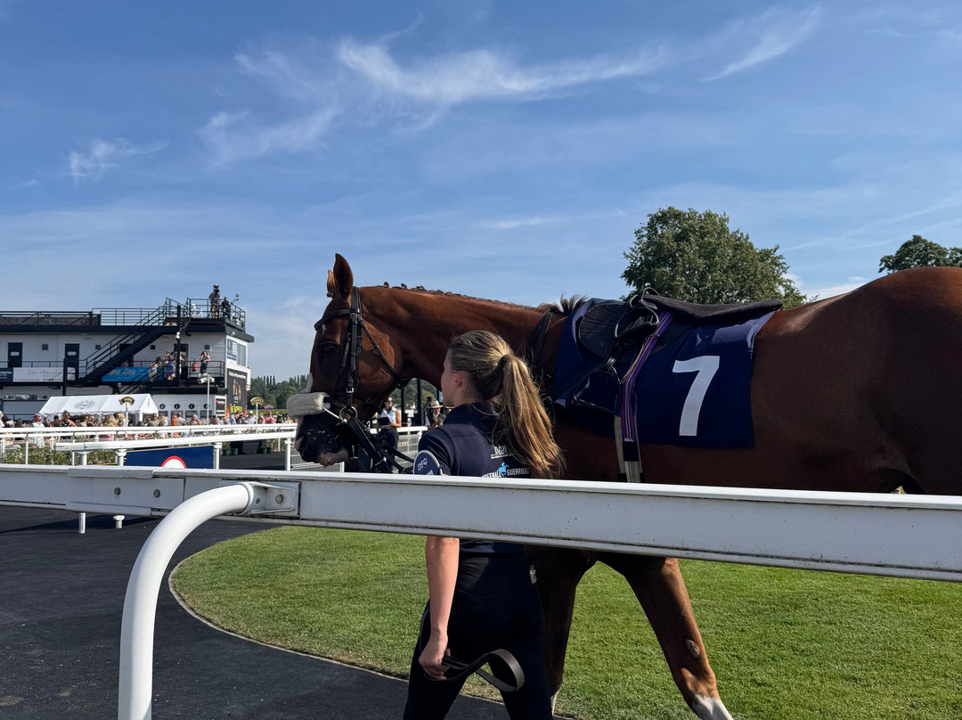 Uttoxeter Racecourse-Uttoxeter必去景点