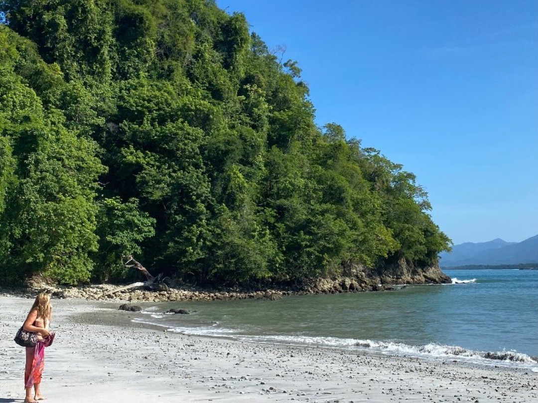 Playa Biesanz-哥斯达黎加安东尼奥国家公园必去景点