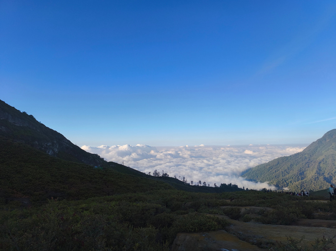 Ijen Blueflame Tour - Day Tours-巴纽旺宣必去景点