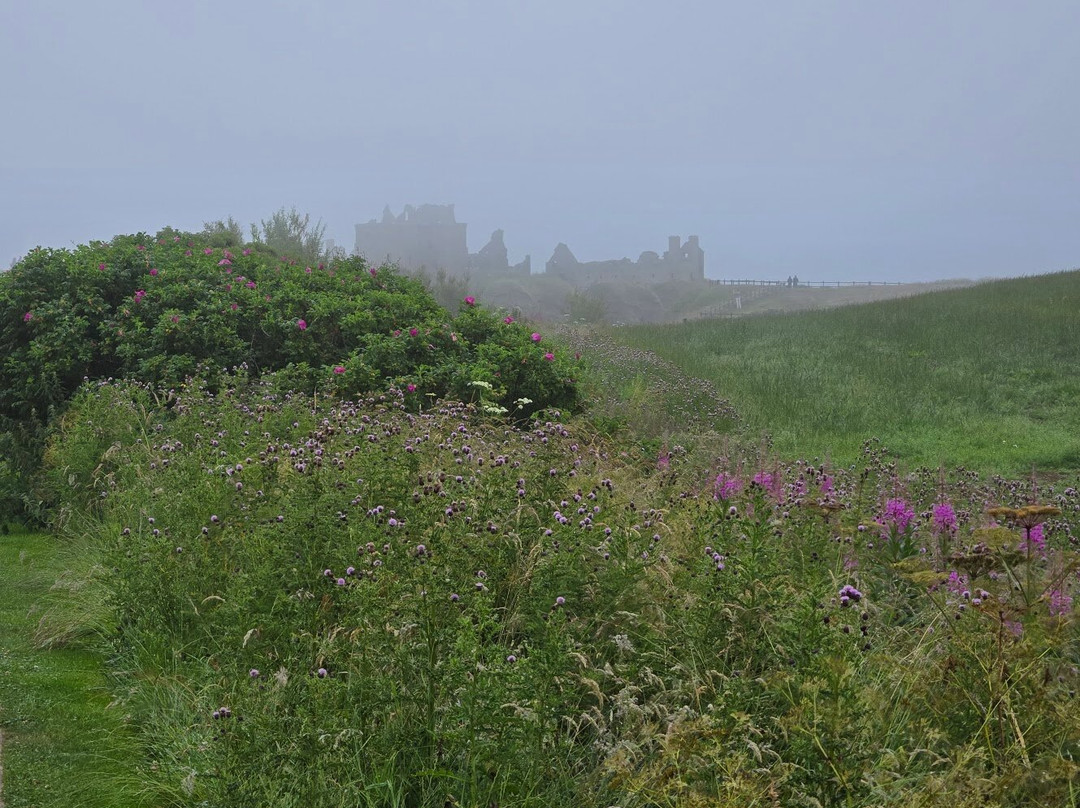 Dunnottar Castle-斯通黑文必去景点