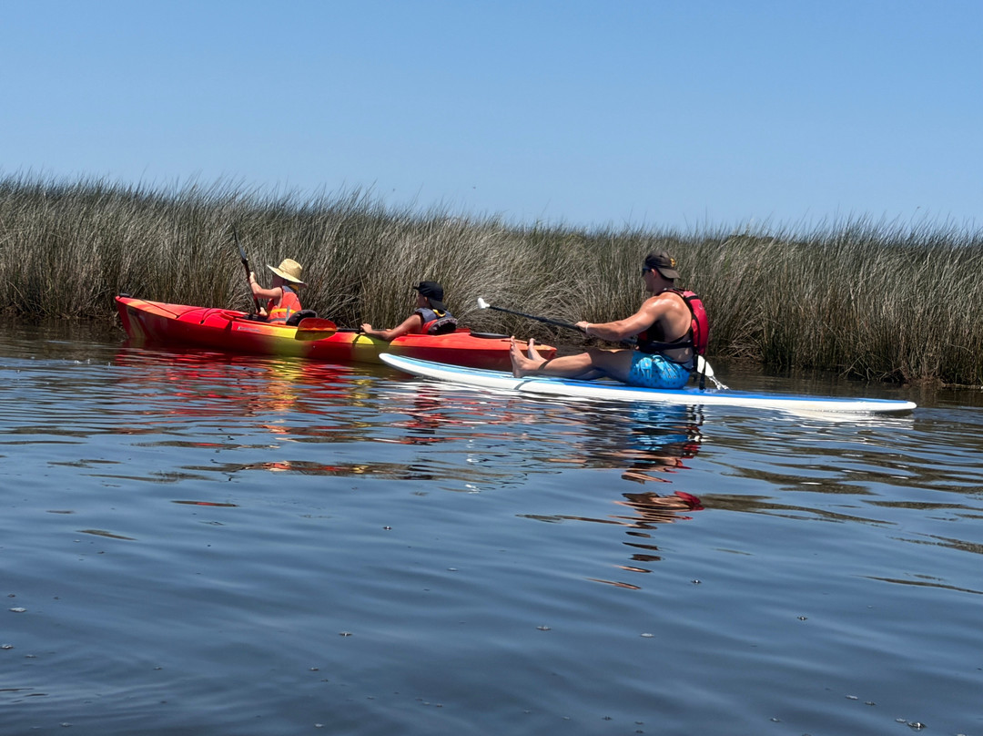 Coastal Kayak Touring Company-Duck必去景点