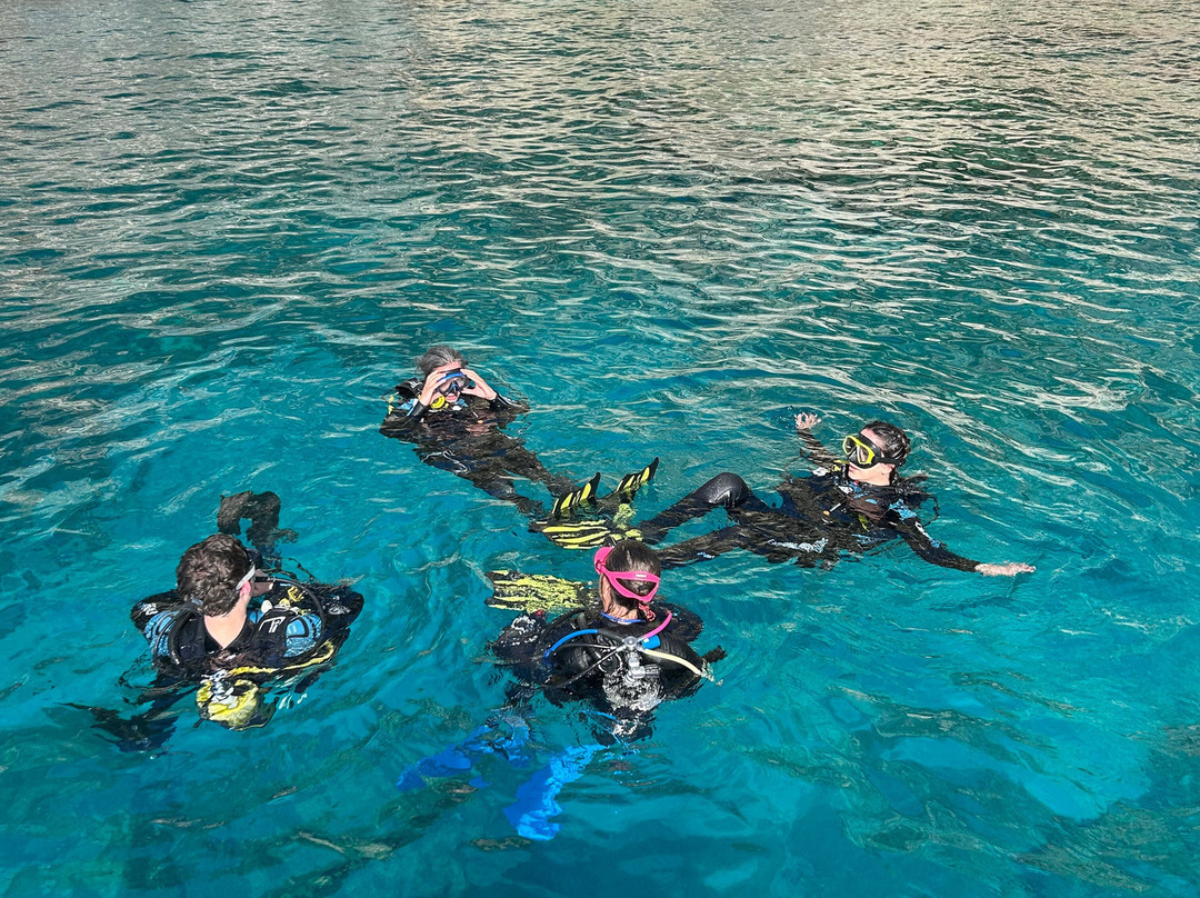 Zante Diving - Dive Center-扎金索斯州必去景点