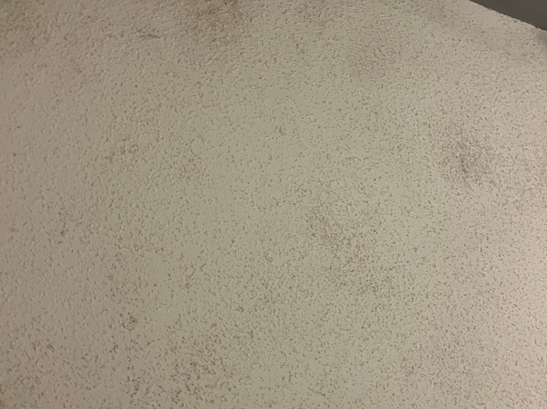 希尔顿欢朋酒店-贝茨维尔主图