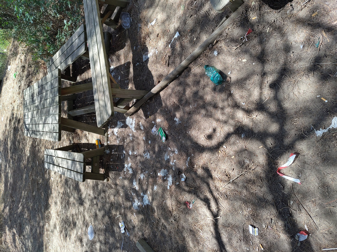 Parco Pineta Regina-Marina di Ginosa必去景点