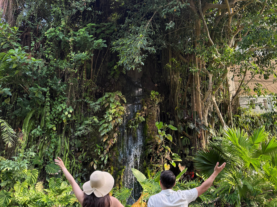 Japa Bali Tours-乌布必去景点
