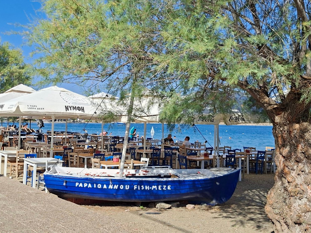 Papaioannou Fish Meze