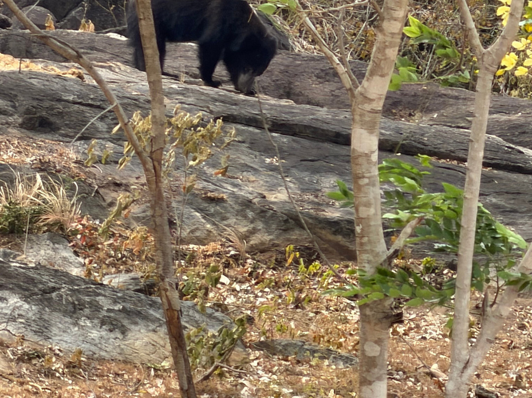 Sudu Yala Tusker Safari-蒂瑟默哈拉默必去景点