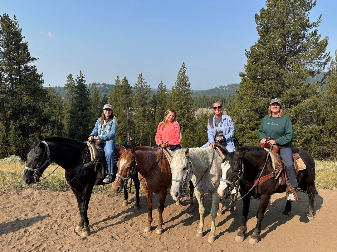 Swift Creek Outfitters & Teton Horseback Adventures-莫兰必去景点