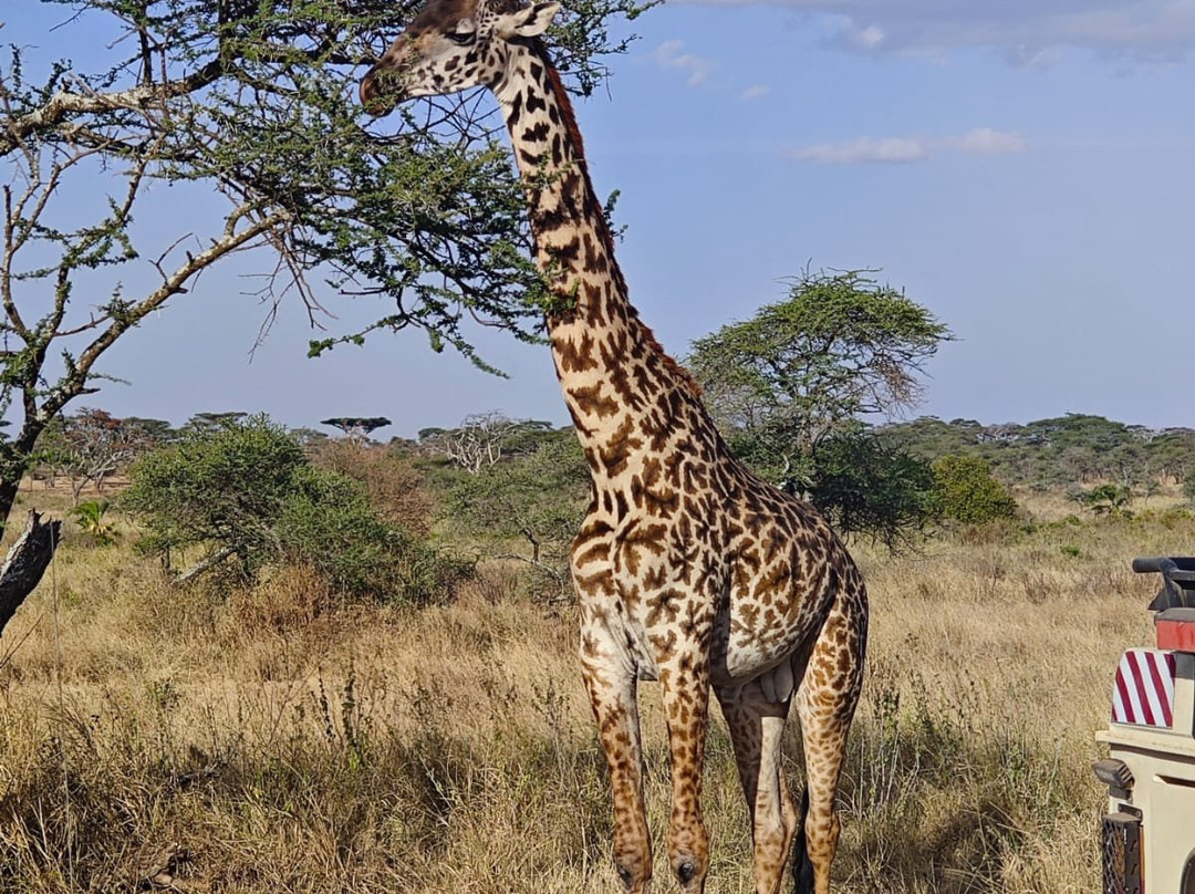 Sereland Africa Safaris-Sakina必去景点