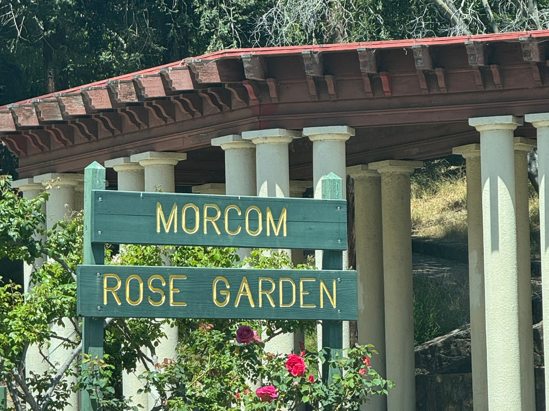 Morcom Amphitheater of Roses-奥克兰必去景点