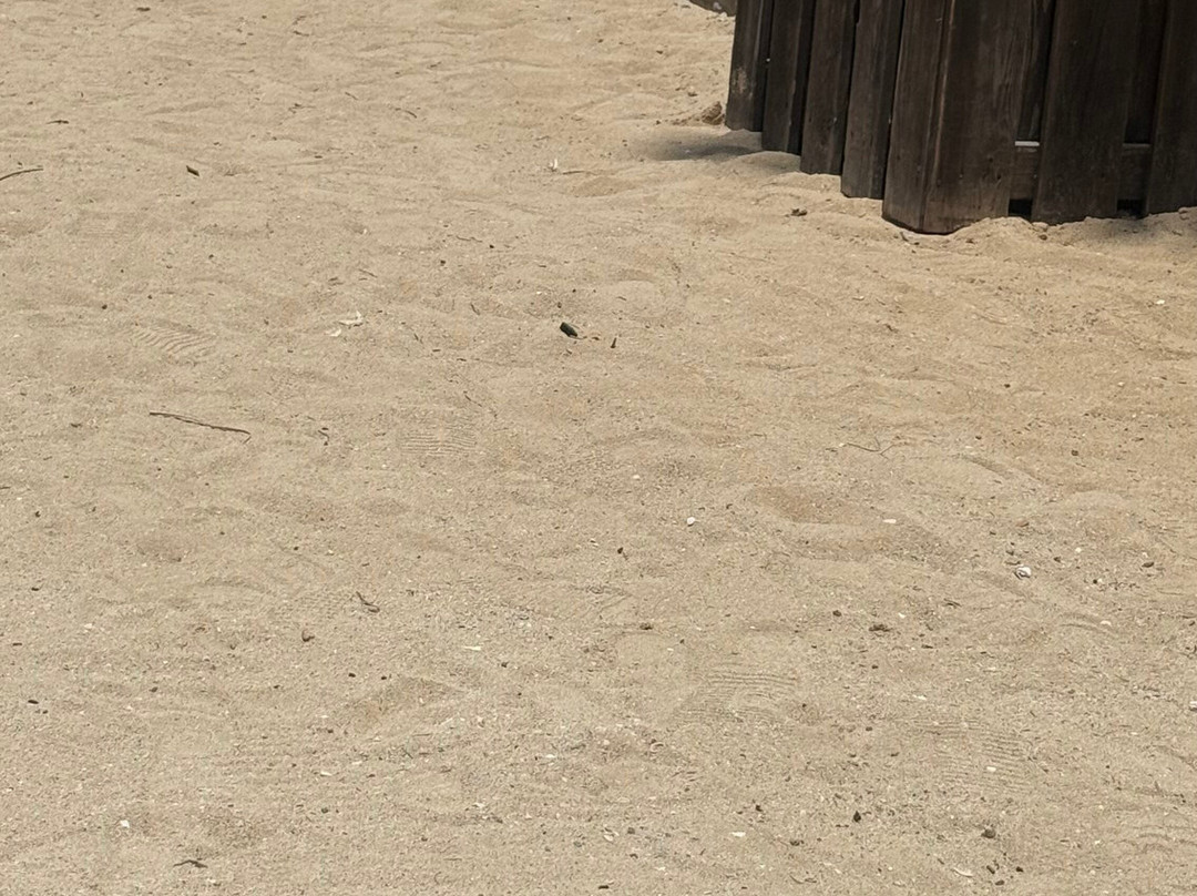 Puerto Seco Beach-发现湾必去景点