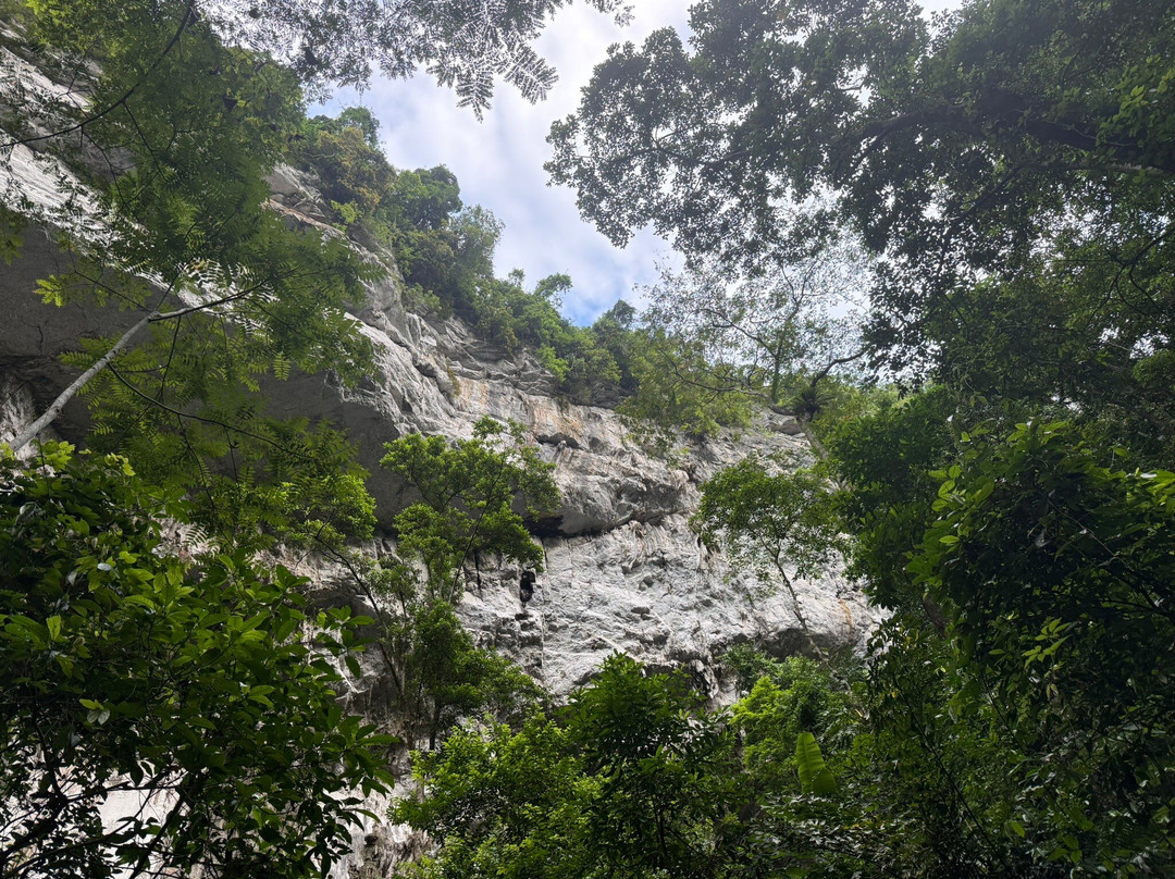 Jungle Boss Tours-峰牙－己榜国家公园必去景点