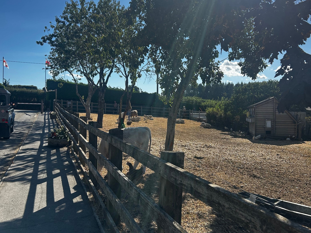 Twelve Oaks Farm-牛顿阿伯里必去景点