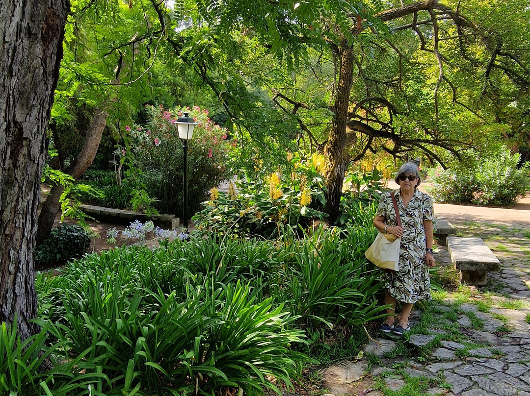 Jardim Da Estrela Park-里斯本必去景点