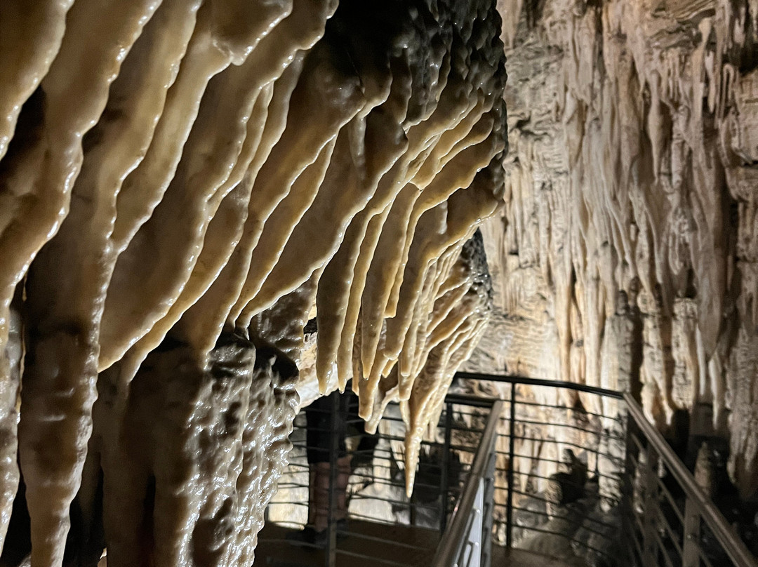 Antro del Corchia Tourist Cave-Levigliani必去景点