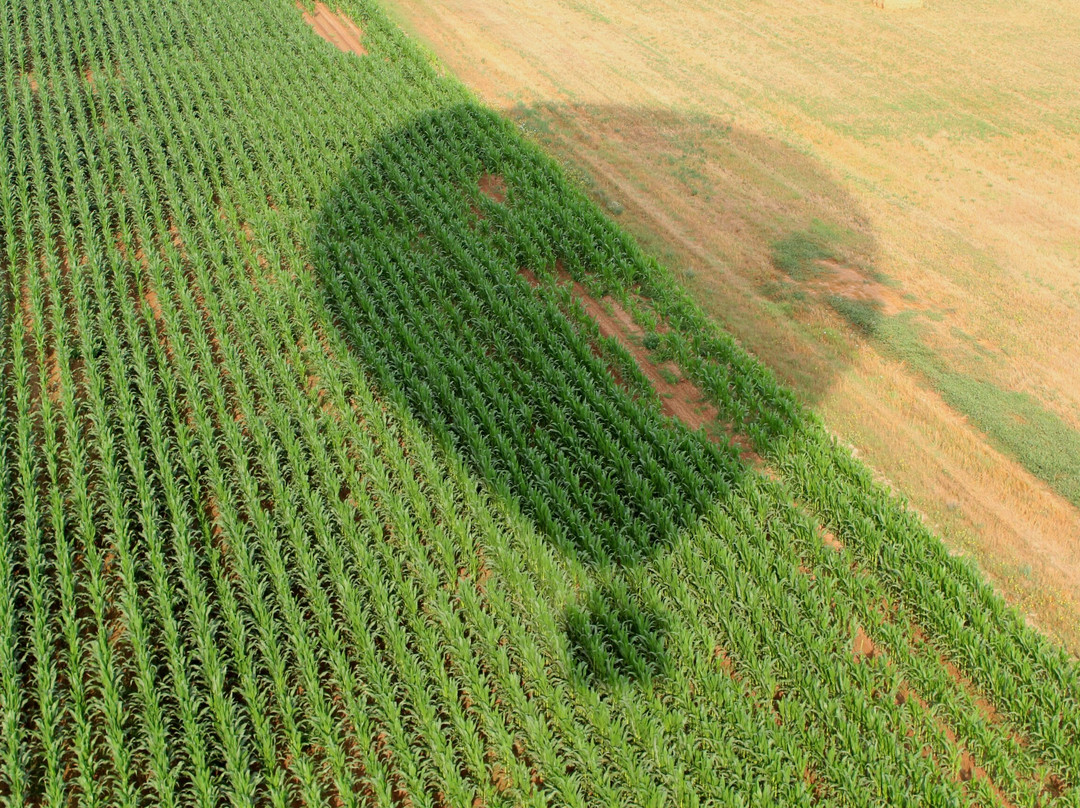 Globus Empordà-Colomers必去景点