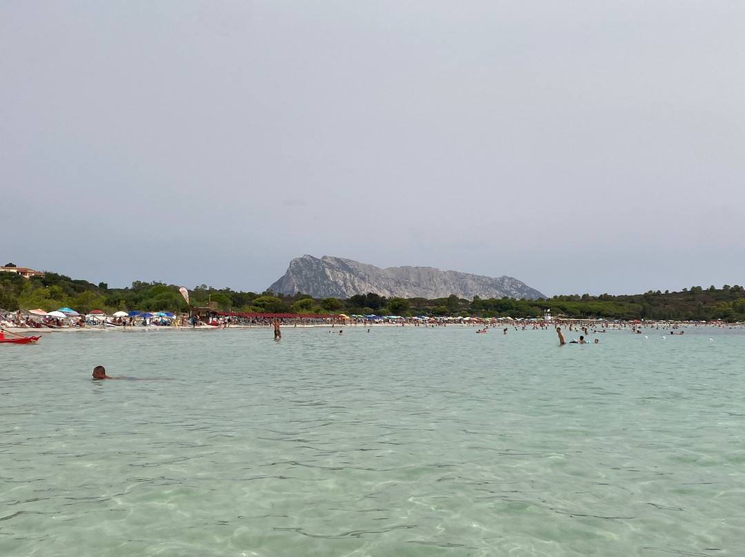 Cala Brandinchi-Capo Coda Cavallo必去景点