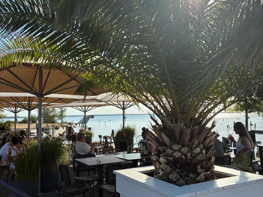 Restaurant & Hotel Monopole Harderwijk主图