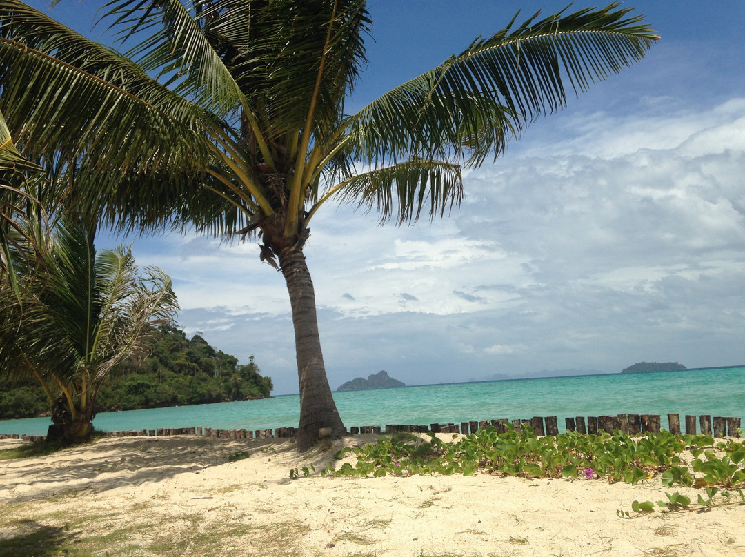 Phi Phi Islands-甲米必去景点