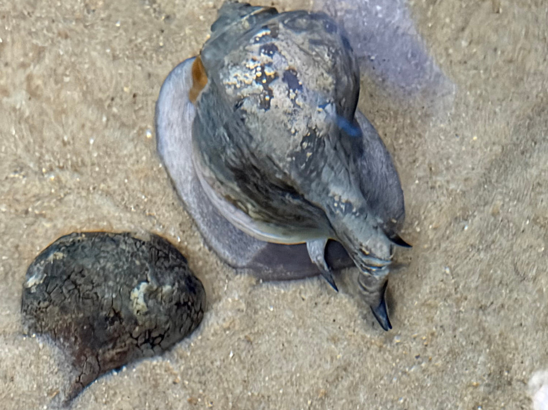 巴尔的摩国家水族馆-巴尔的摩必去景点