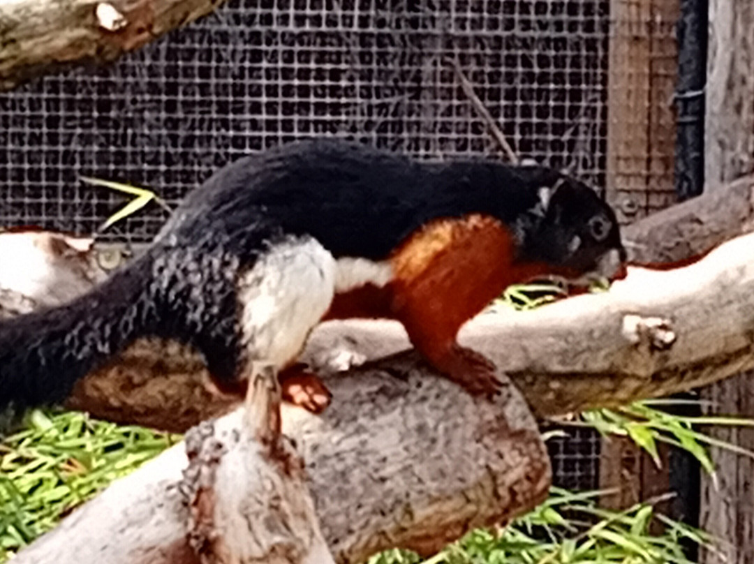 Zoo de Lille-里尔必去景点