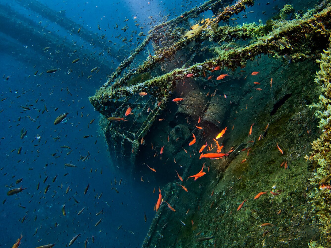 Diving Yoghi-阿格罗波利必去景点
