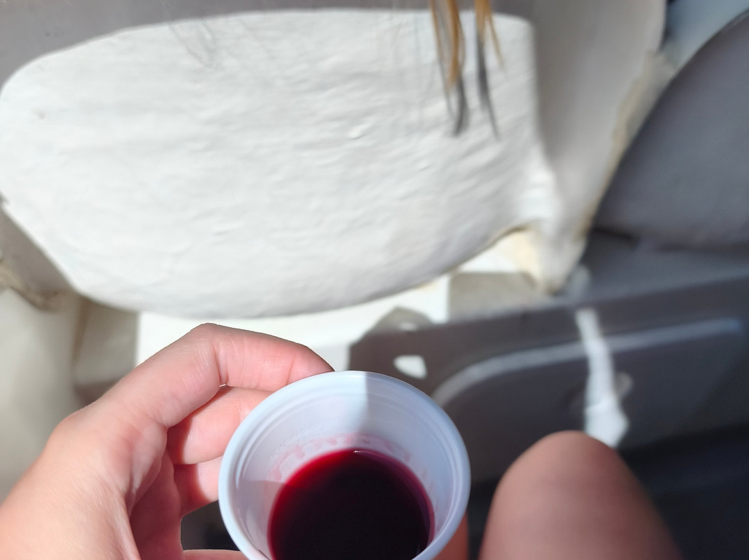 Douro Tours-Pinhao必去景点