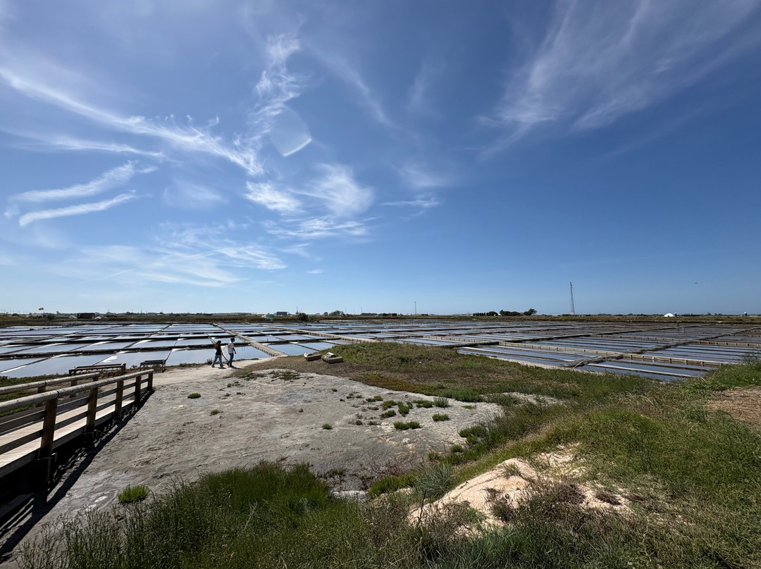 Ecomuseu Marinha da Troncalhada-阿威罗必去景点