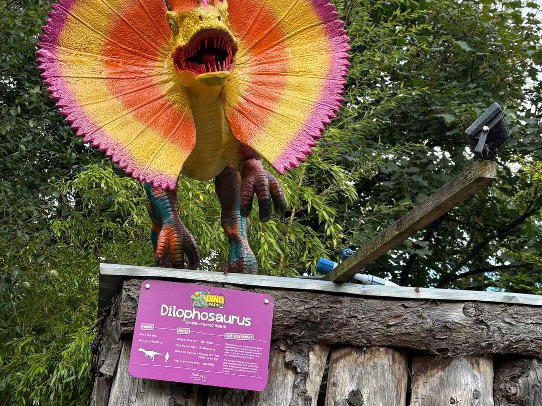 Dino Park-邓弗里斯必去景点