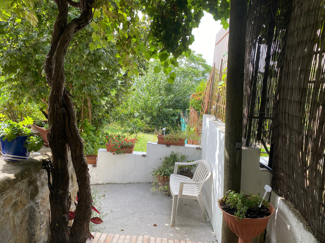 Il Giardino Segreto主图
