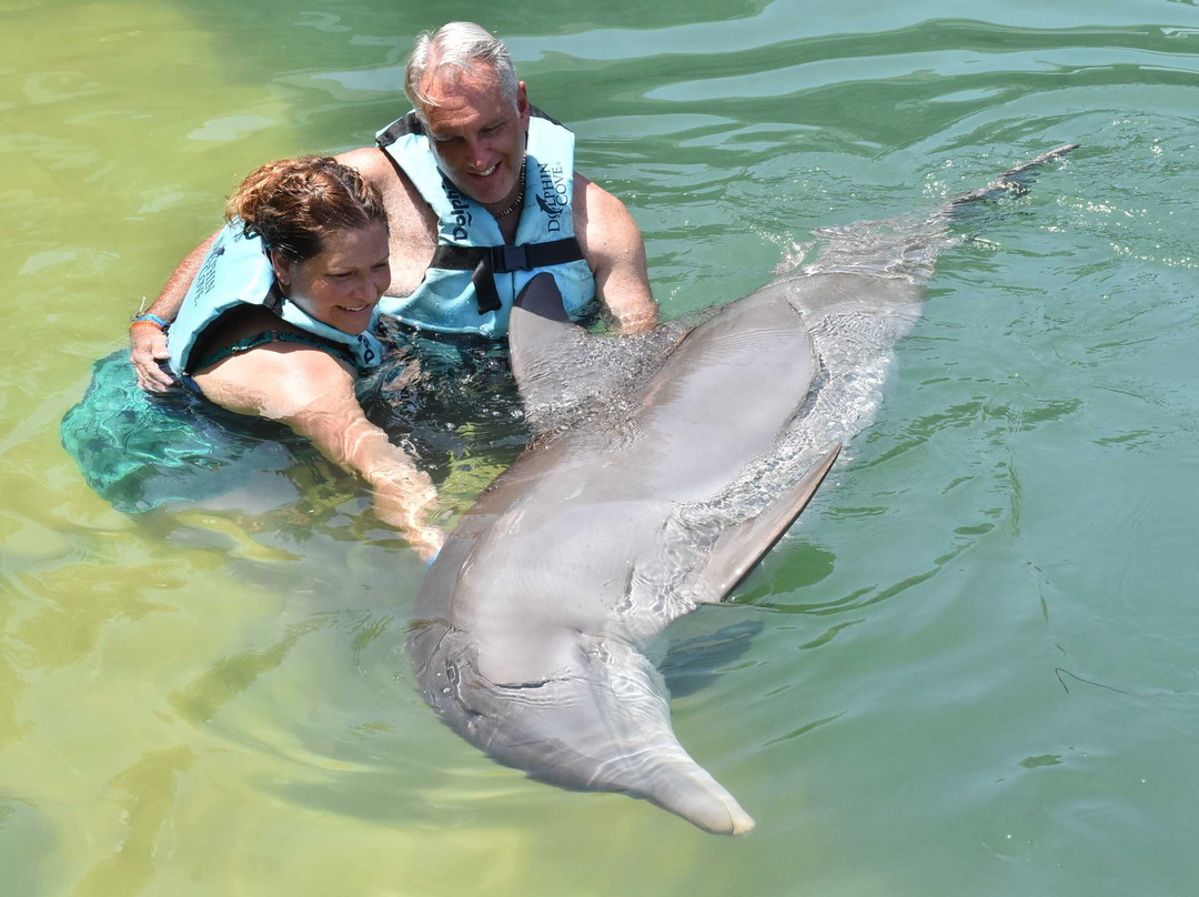 Dolphin Cove Montego Bay-Lucea必去景点