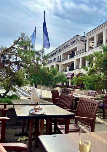 由高沙丘提王宫酒店-旅行者