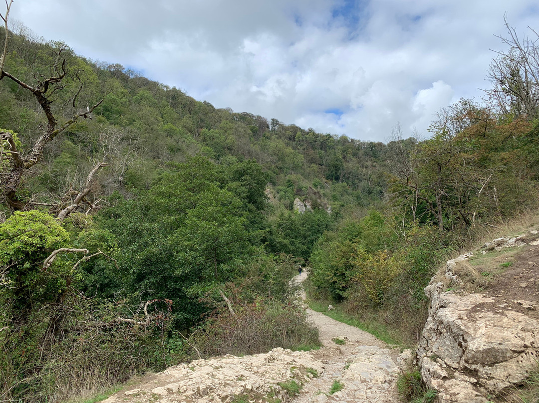 Dovedale-阿什伯恩必去景点