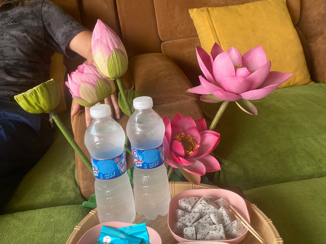 Tam Cốc Daisy Massage-宁平必去景点