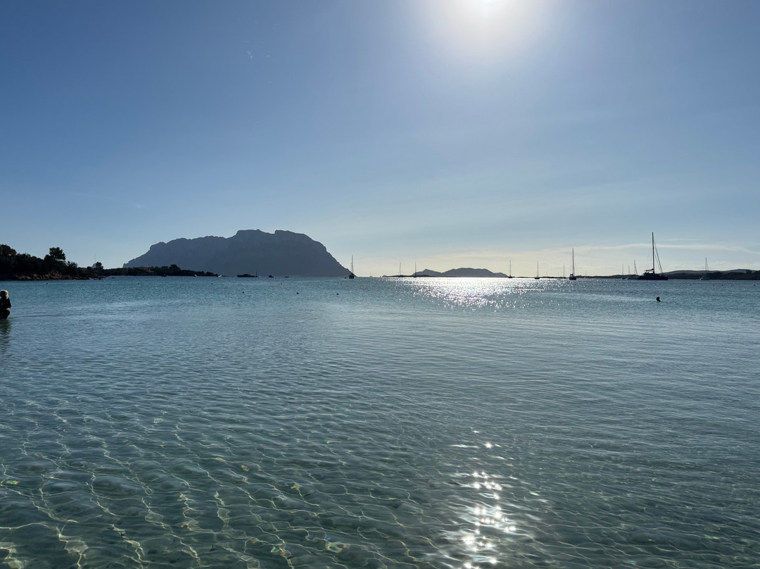 Spiaggia Sas Enas Appara-Porto Istana必去景点