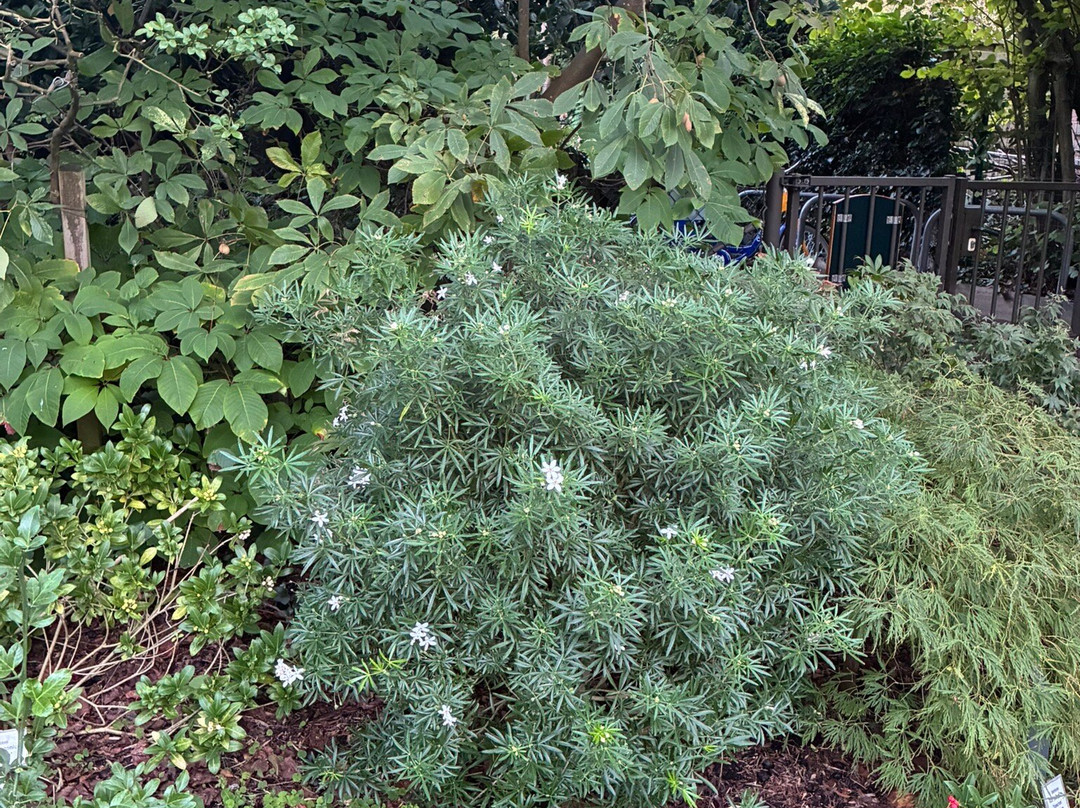 Botanische Tuin Dr. Costerus-Hilversum必去景点