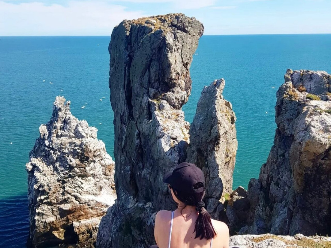 Howth Cliff Cruises-霍斯必去景点