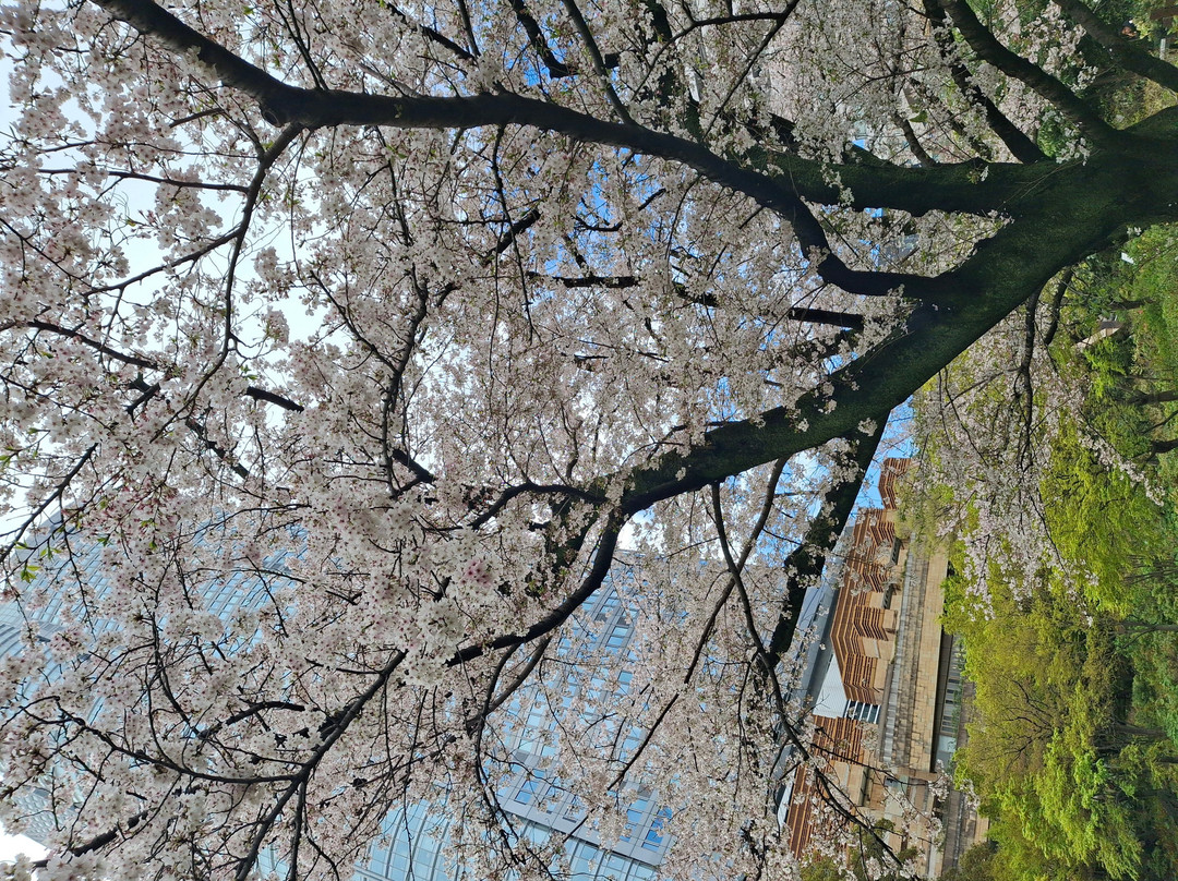 Mori Garden-Roppongi必去景点