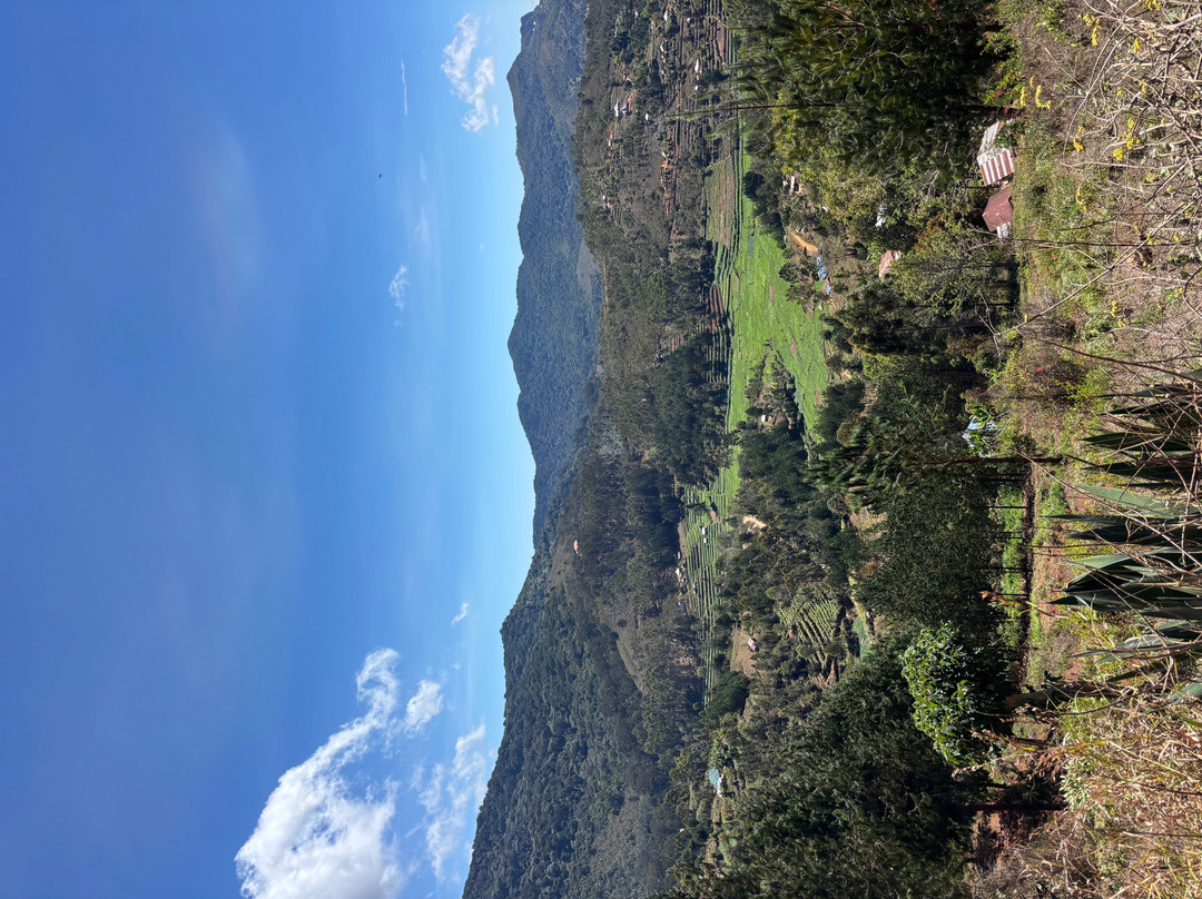 Magamba Eco-cultural Tourism-卢绍托必去景点