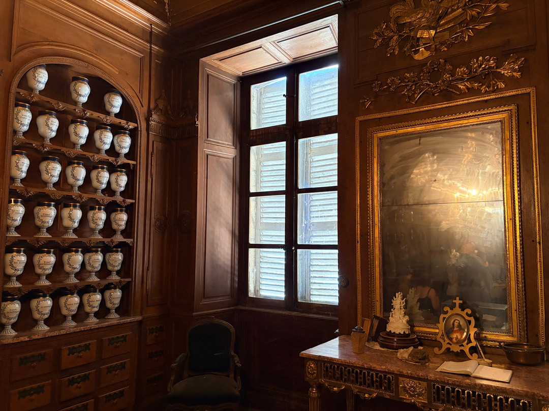 Hôtel-Dieu de Lons-le-Saunier-隆勒索涅必去景点