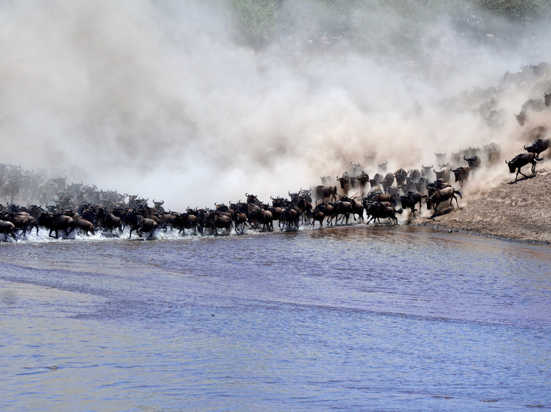 Munda Africa Adventure | Gorilla Trekking & Wildlife Safaris-恩德培必去景点
