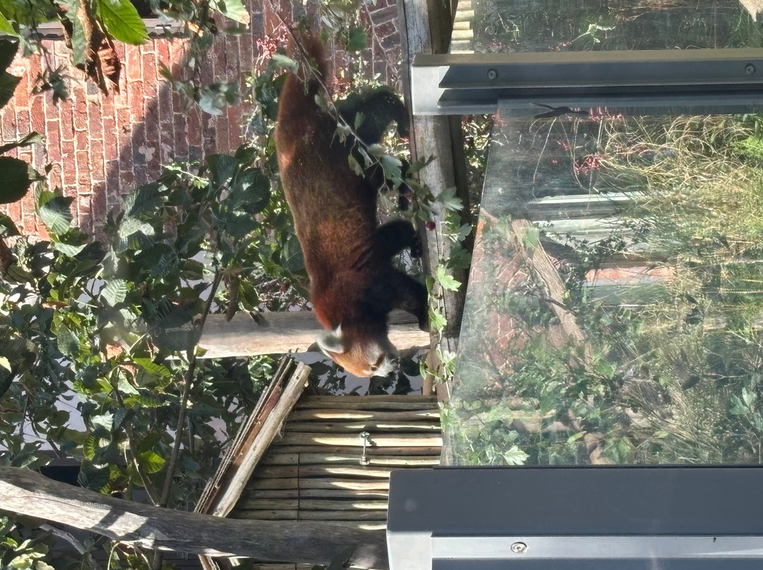 West Midlands Safari Park-Bewdley必去景点