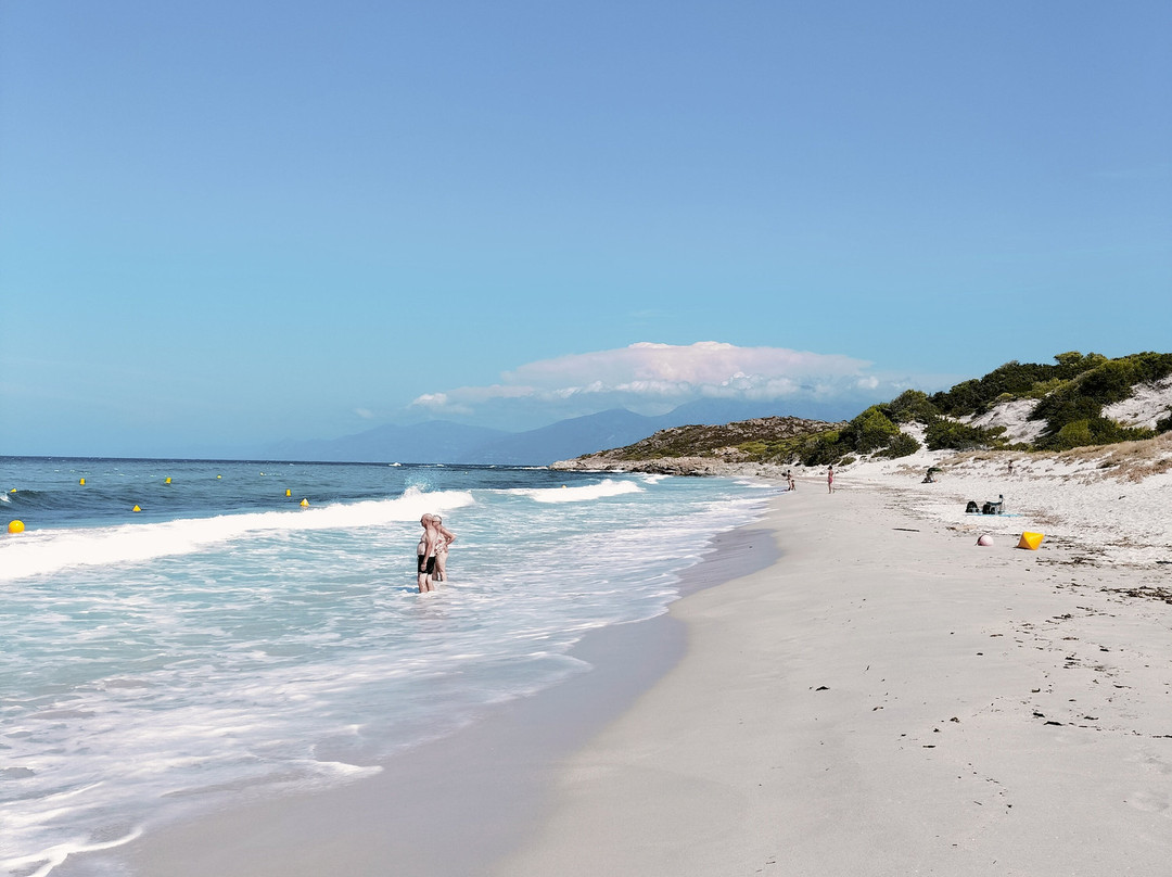 Plage de Saleccia-Santo-Pietro-di-Tenda必去景点
