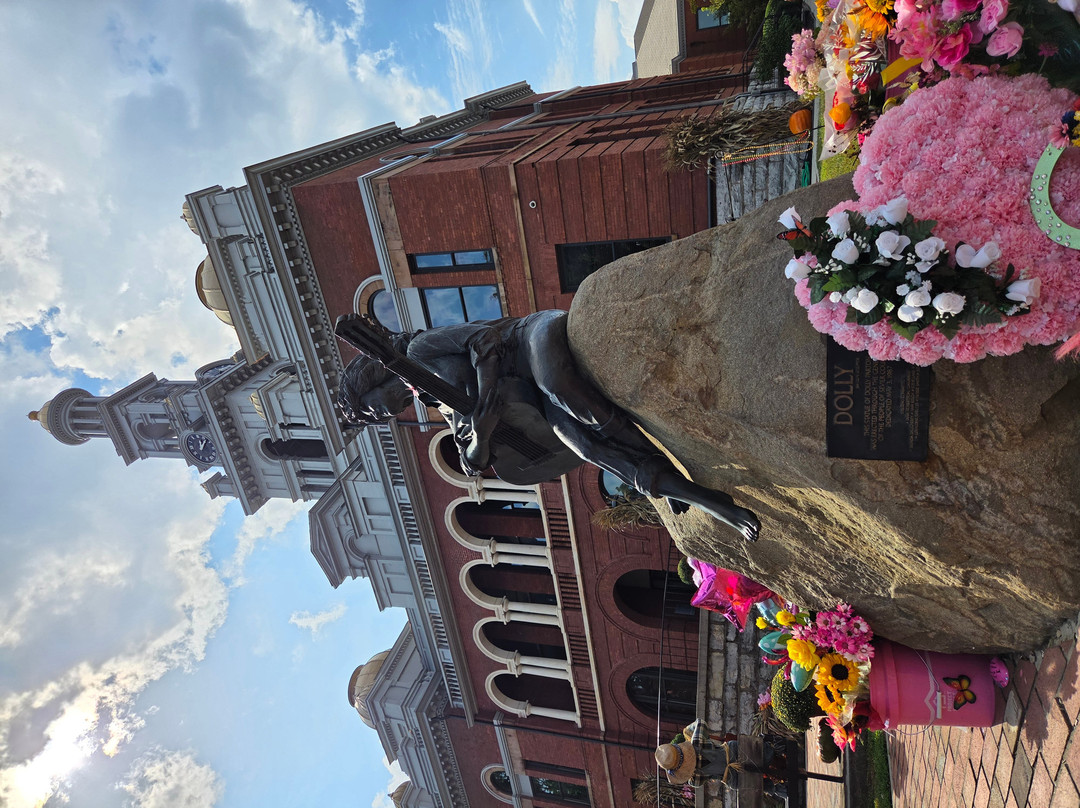 Dolly Parton Statue-塞维尔维尔必去景点