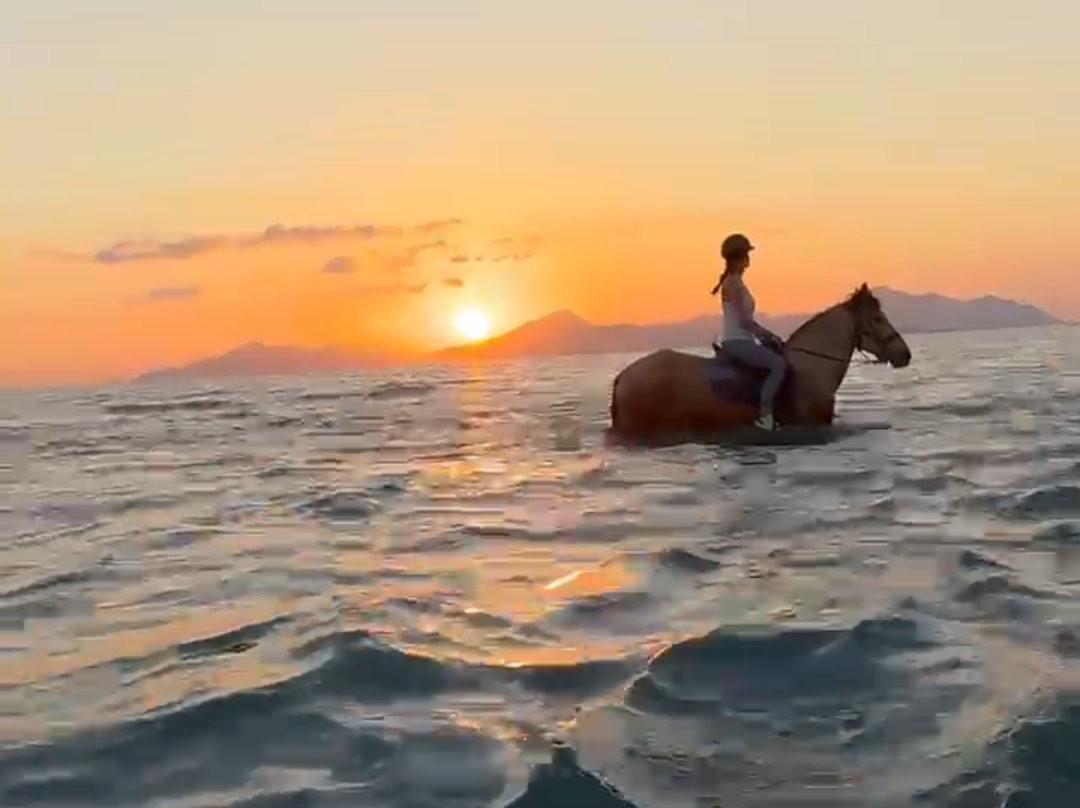 Erika's Horse Farm Kos-Marmari必去景点