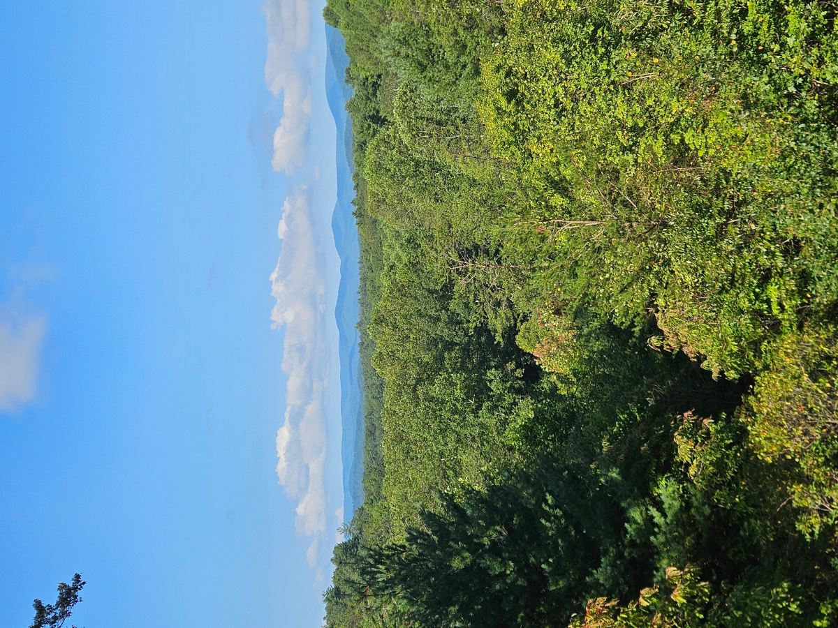 龙格山住宿加早餐旅馆-旅行者