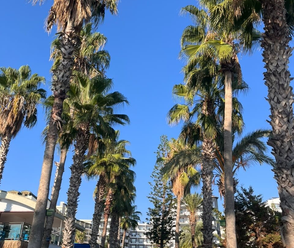 Holiday Park Resort - Ultra All İnclusive主图