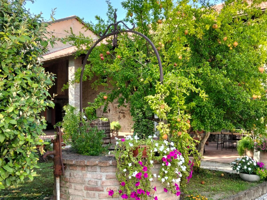 Tenuta Roveglia-Pozzolengo必去景点
